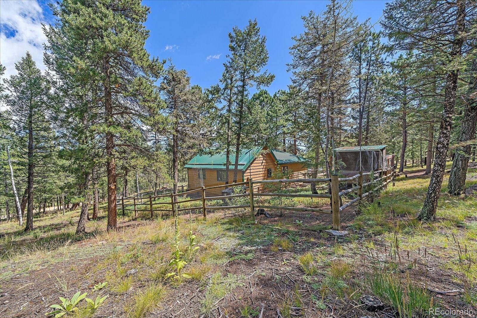 Bailey, CO 80421,321 Tapadero RD