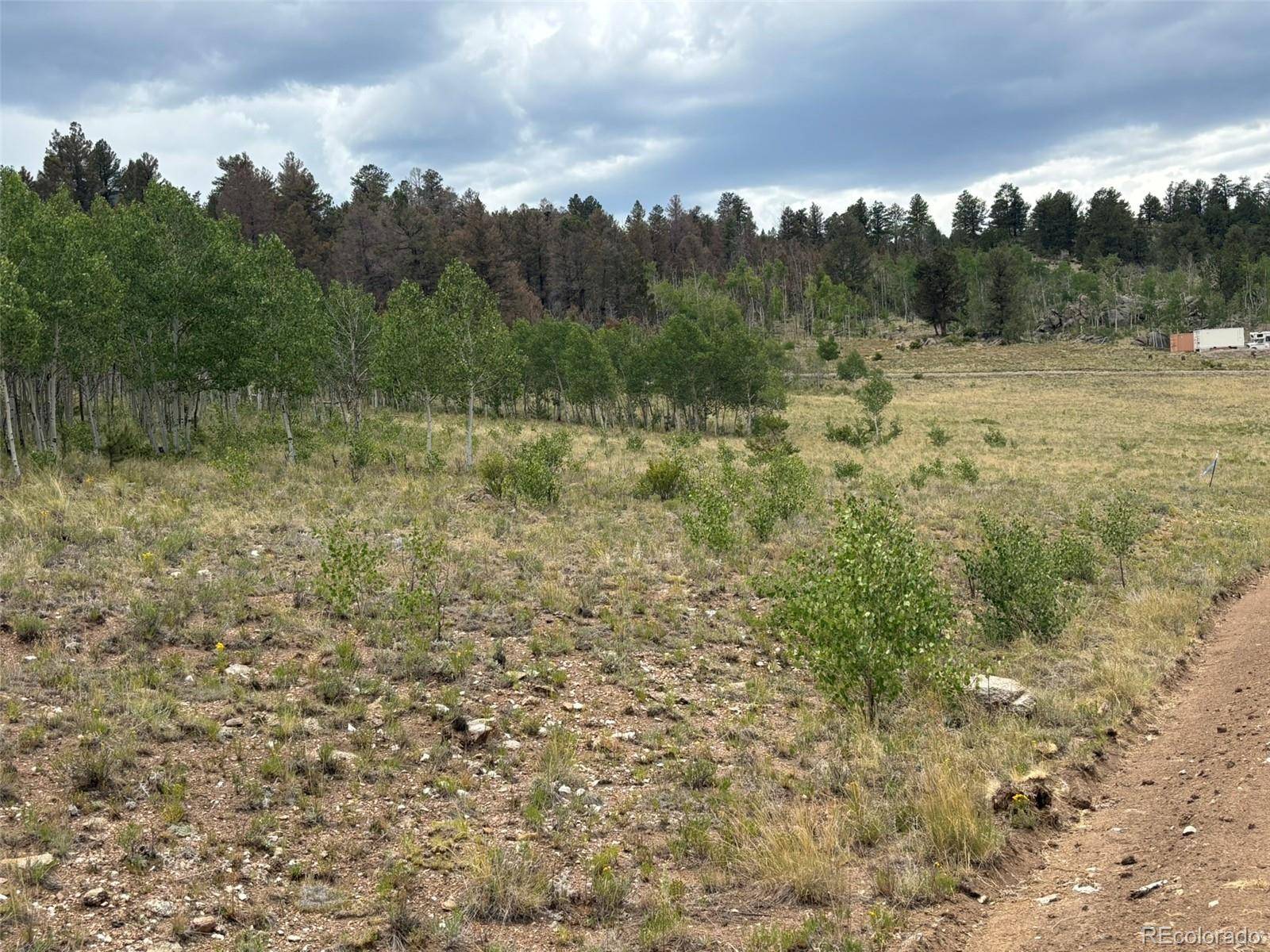 1625 Athapascan RD, Hartsel, CO 80449