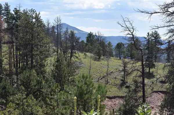 Florissant, CO 80816,11 Chapparal TRL