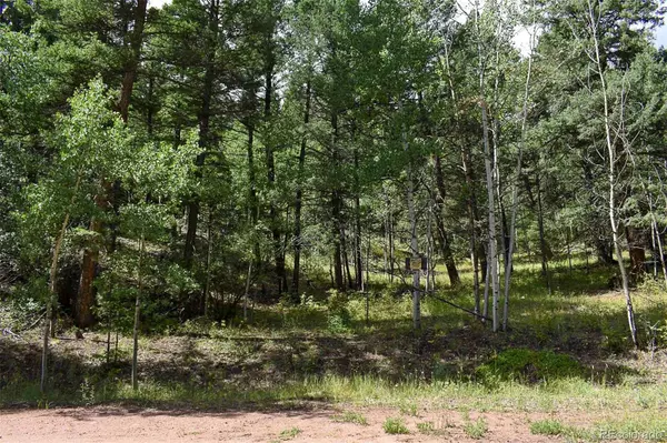 Guffey, CO 80820,231 Deer LN