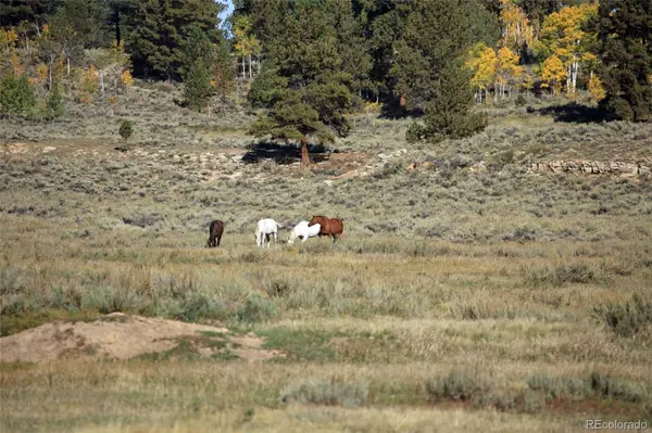 000 Divide (Louie Pasture) RD, Whitewater, CO 81527