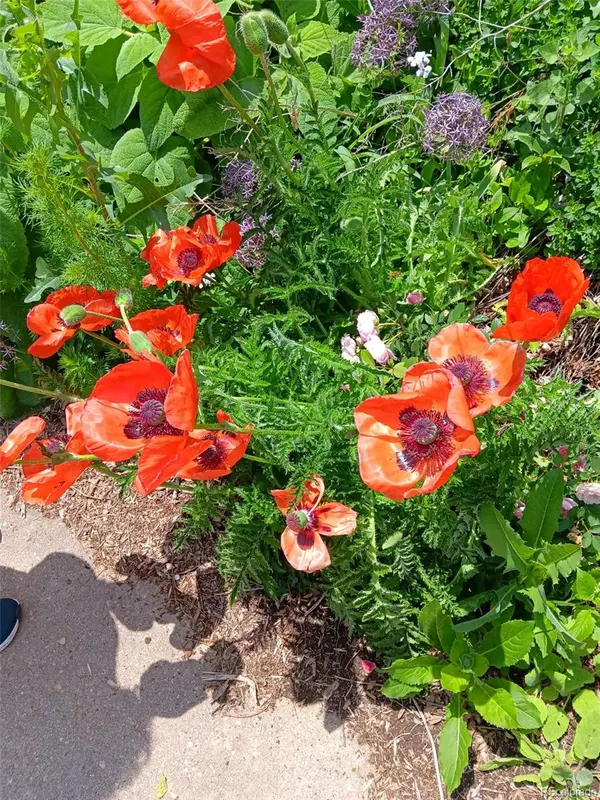 Denver, CO 80237,8095 E Lehigh AVE