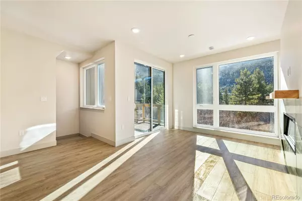 Keystone, CO 80435,624 Montezuma RD #D-2