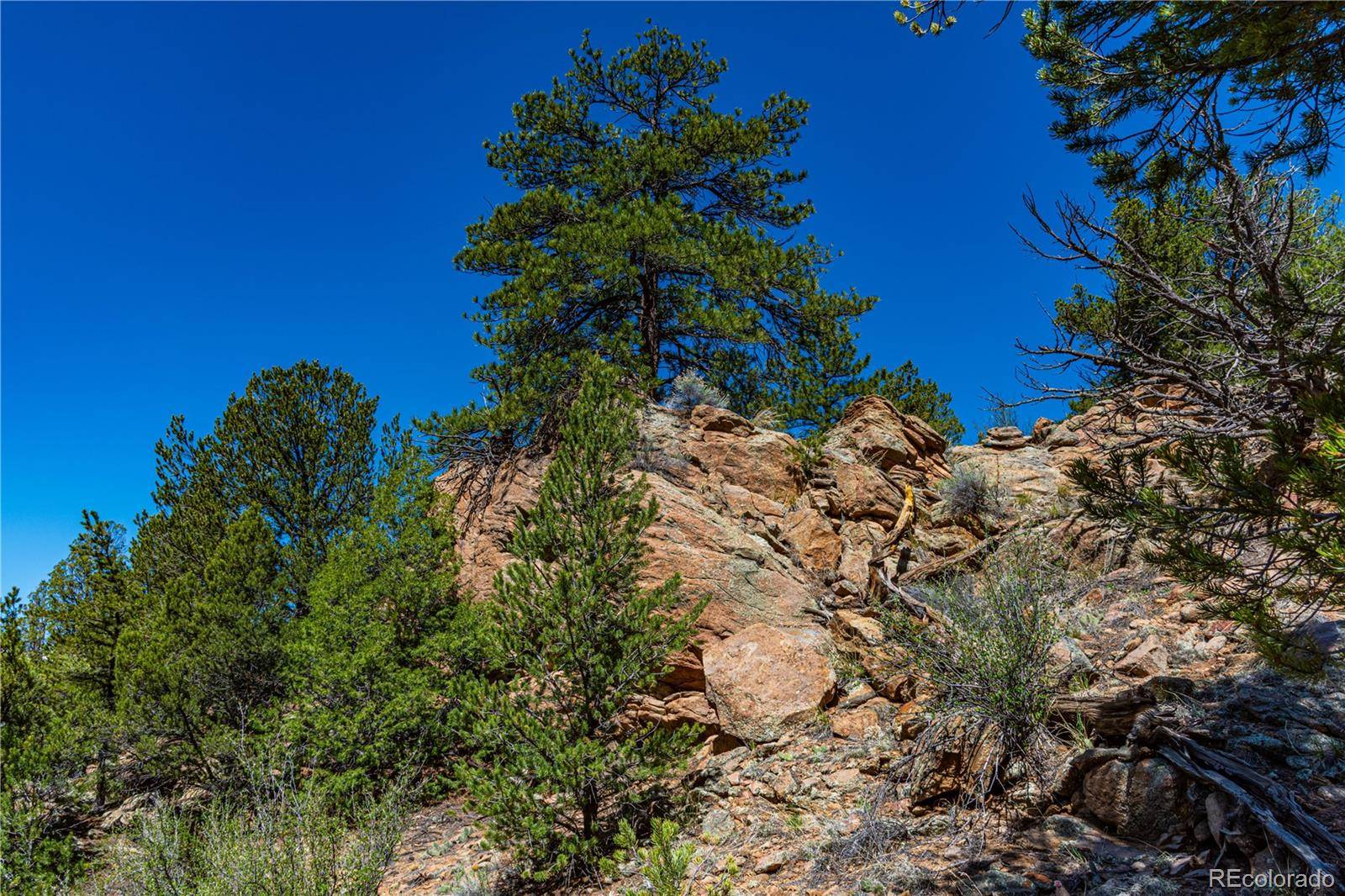 Cotopaxi, CO 81223,TR-17 White Wing WAY