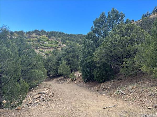 Trinidad, CO 81082,TBD Ponderosa Hills Lot 10