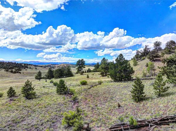 3290 Fitzsimmons RD, Hartsel, CO 80449