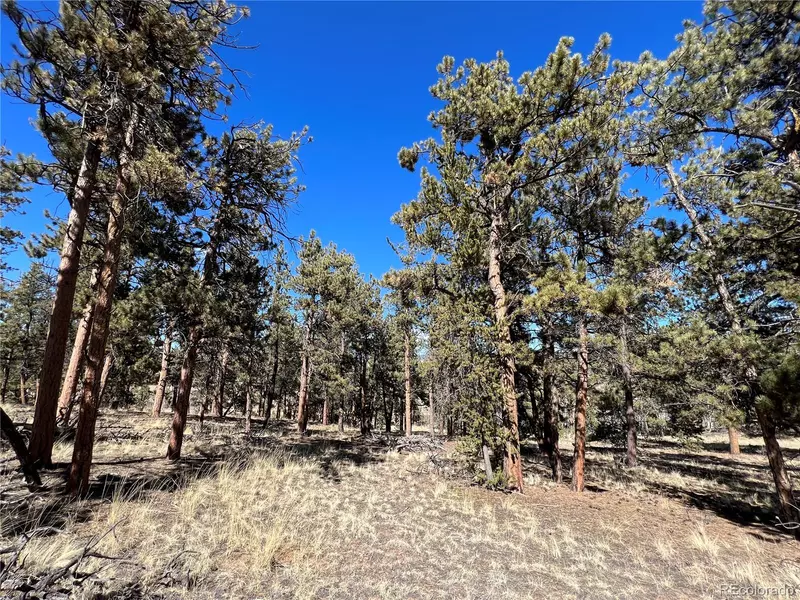 72 Shenandoah PATH, Hartsel, CO 80449