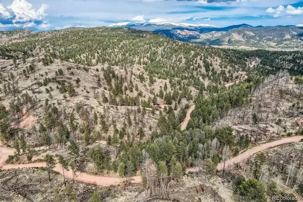 Florissant, CO 80816,1978 High Chateau Rd. RD