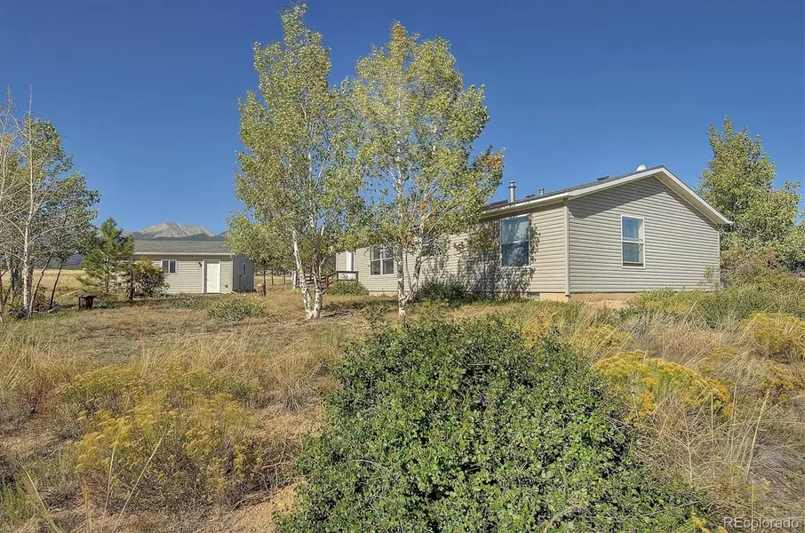 20333 Old Ranch LOOP, Nathrop, CO 81236