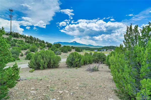 Trinidad, CO 81082,Stone Ridge 11