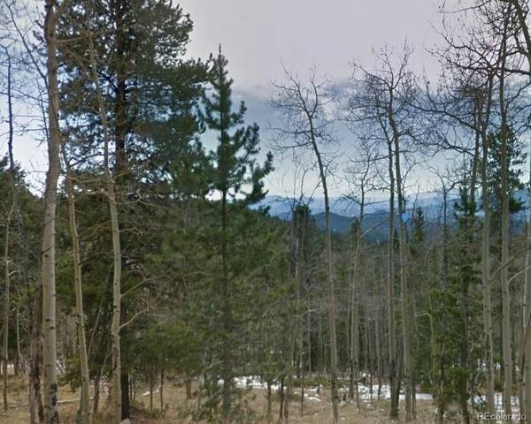 11173 Conifer Mountain RD, Conifer, CO 80433