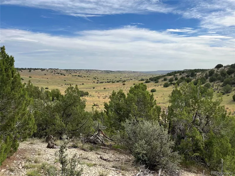 Par 72 Sunflower LN, Pueblo, CO 81004