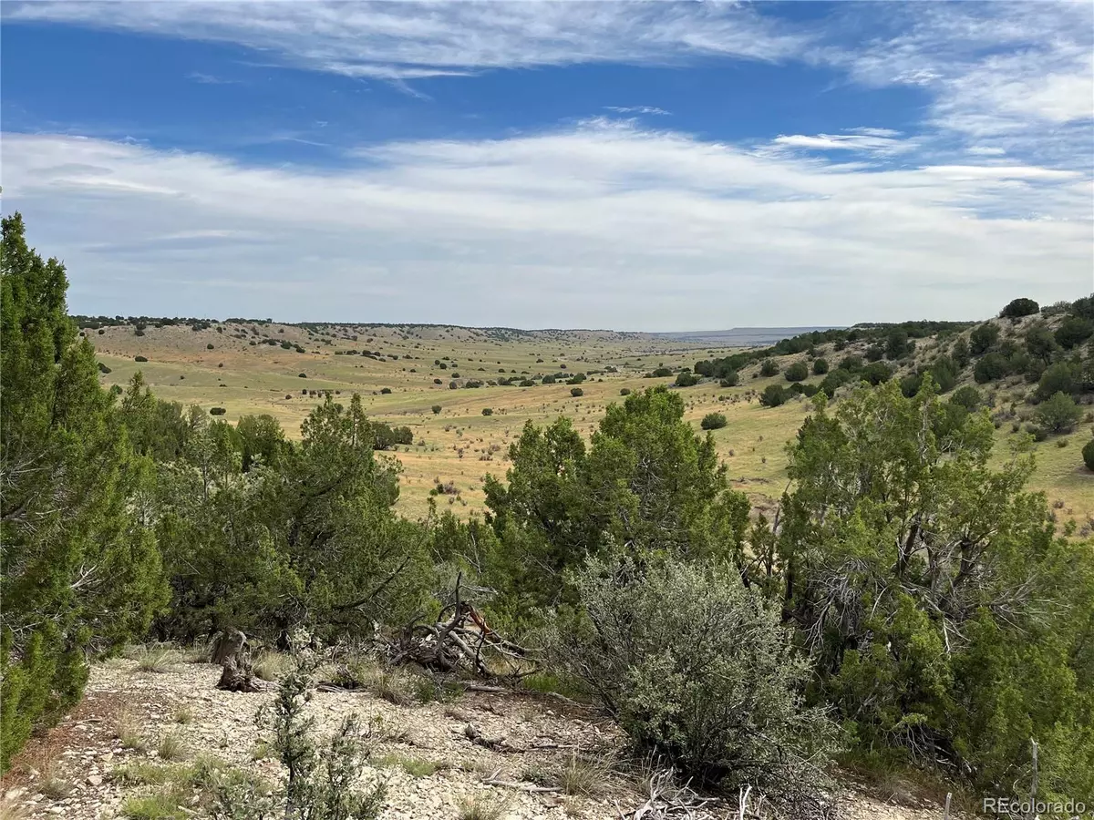 Pueblo, CO 81004,Par 72 Sunflower LN