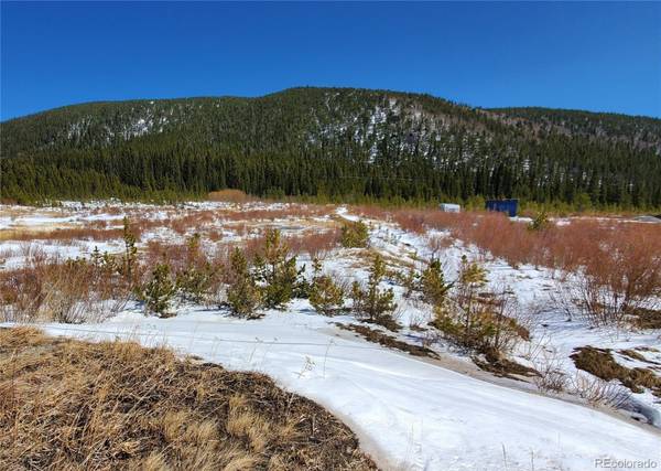 Lot 40 Silver Creek RD, Idaho Springs, CO 80452