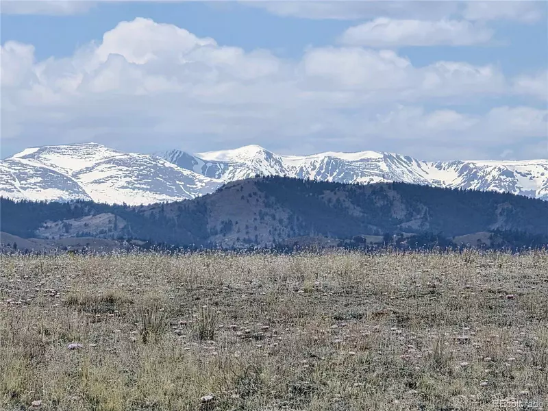 1127 Imboden RD, Hartsel, CO 80449