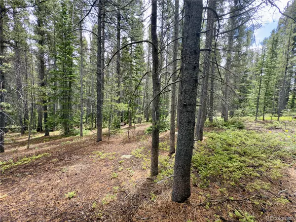 Lot 285 Lower Forest RD, Idaho Springs, CO 80452