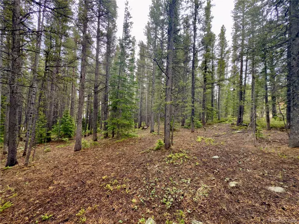 Idaho Springs, CO 80452,Lot 285 Lower Forest RD