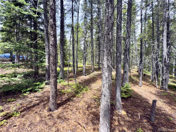 Idaho Springs, CO 80452,Lot 285 Lower Forest RD