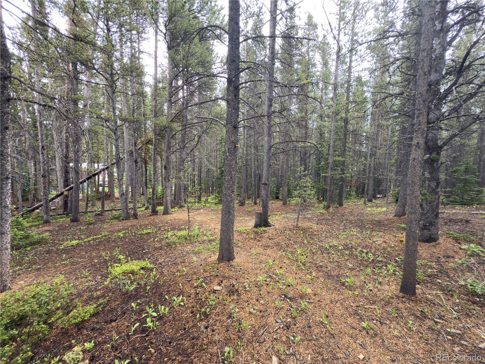 Lot 285 Lower Forest RD, Idaho Springs, CO 80452