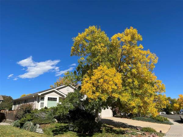 7085 Leopard Gate, Littleton, CO 80124