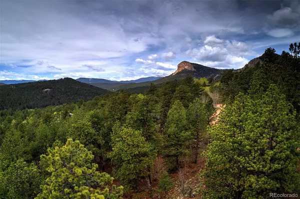 Pine, CO 80470,11669 S Upper Ranch DR