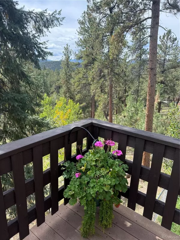 Pine, CO 80470,11669 S Upper Ranch DR