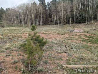 160 Silbani LN, Florissant, CO 80816