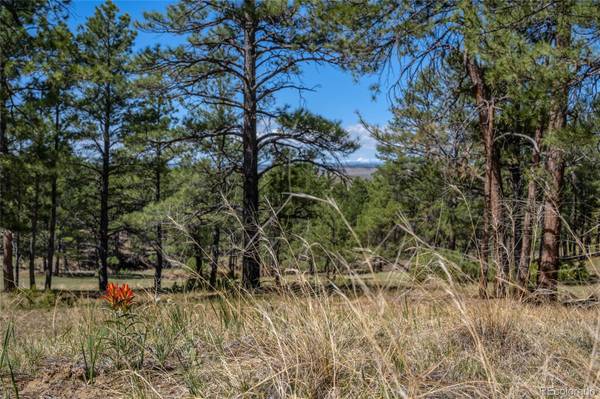 Parcel 5 Onyx TRL, Deer Trail, CO 80105