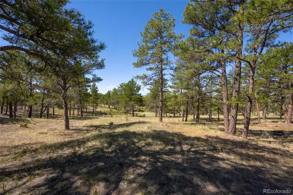 Deer Trail, CO 80105,Parcel 5 Onyx TRL