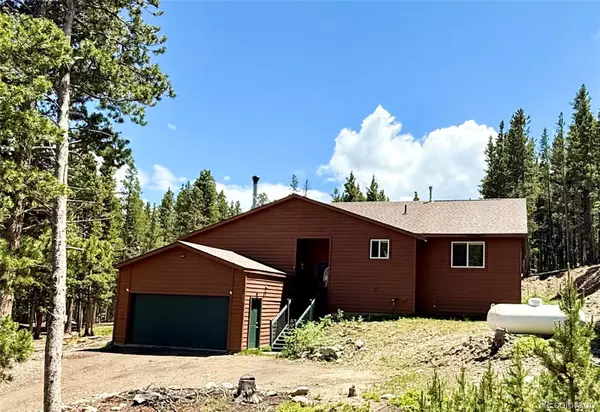 250 Upper Forest RD, Idaho Springs, CO 80452