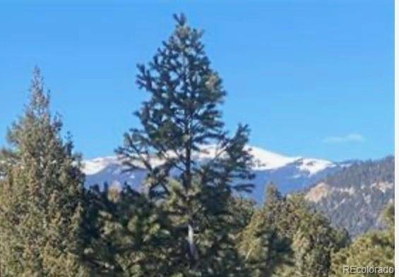 Evergreen, CO 80439,33884 Bergen View TRL