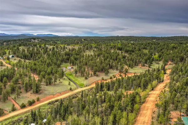 87 Chalk Creek TRL, Florissant, CO 80816