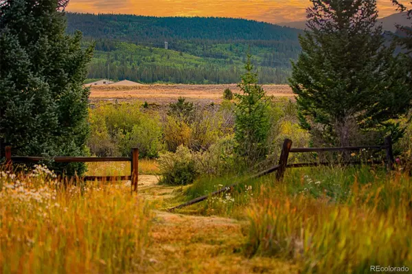 Alma, CO 80420,46 Singleton RD