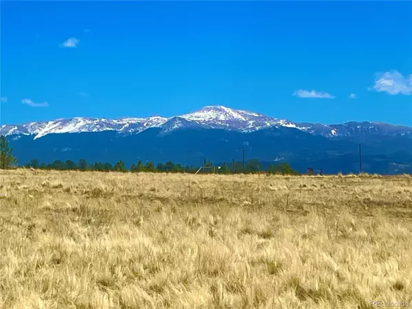 90 Meadow LN, Guffey, CO 80820