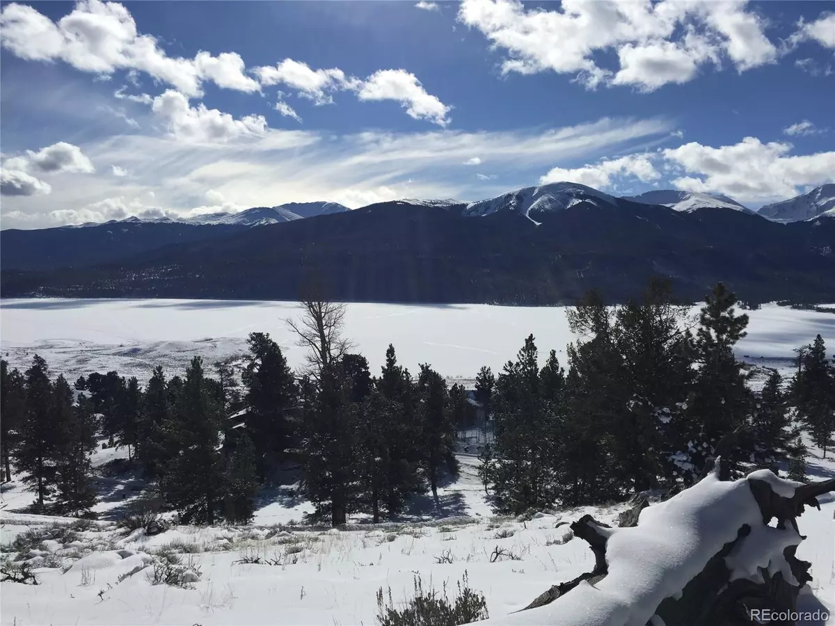 Twin Lakes, CO 81251,104 Northview