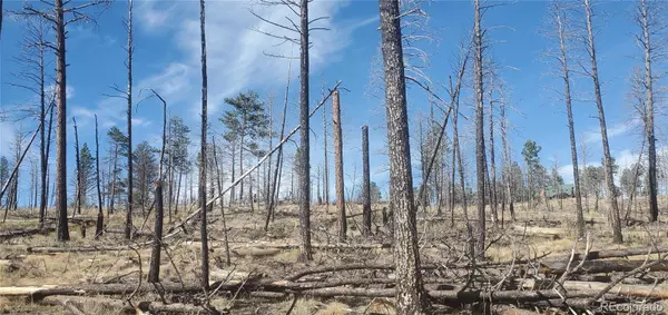 Fort Garland, CO 81133,Lot 585 Leslie LOOP