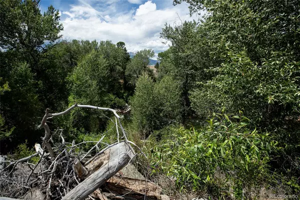 Buena Vista, CO 81211,27835 County Road 301
