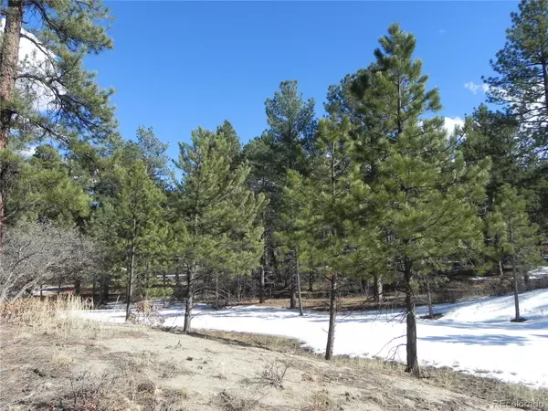 2261 Kinnikinnik DR, Larkspur, CO 80118