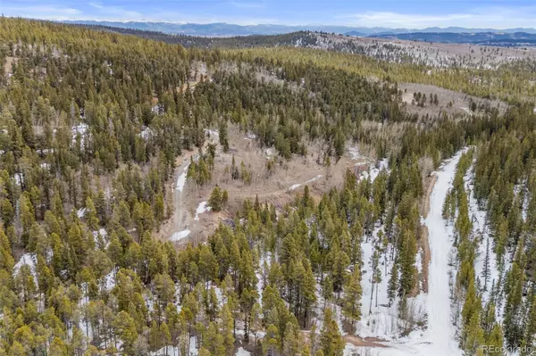 Alma, CO 80420,0 Beaver Creek RD