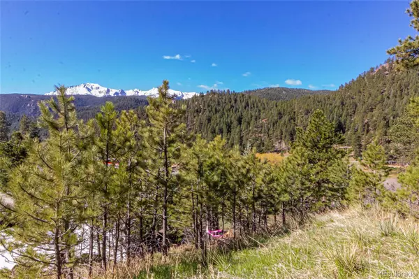 Woodland Park, CO 80863,2721 Mountain Glen CT