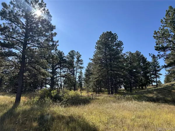 Parker, CO 80138,10856 Tomahawk RD