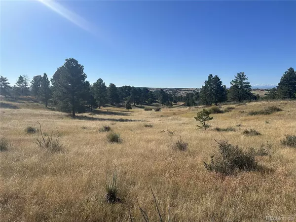 Parker, CO 80138,10856 Tomahawk RD