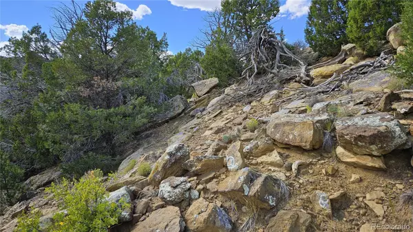 Walsenburg, CO 81089,776 Rio Cucharas