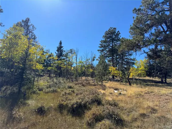 Hartsel, CO 80449,2046 Bellows RD