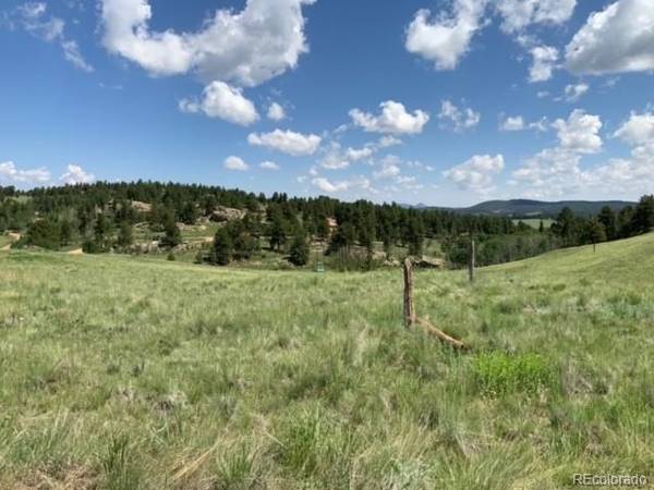 128 Curb Bit LN, Florissant, CO 80816