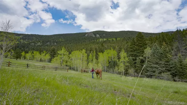 Evergreen, CO 80439,950 Corral Creek RD
