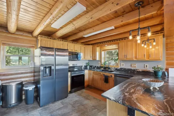 Woodland Park, CO 80863,102 Douglas Fir LN