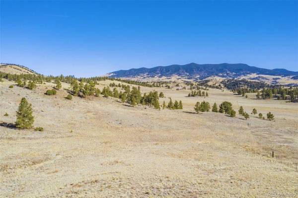 Guffey, CO 80820,Lot 2 Deer LN