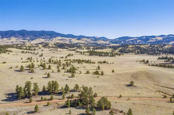 Guffey, CO 80820,Lot 2 Deer LN