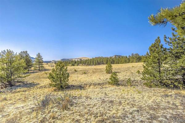 Lot 2 Deer LN, Guffey, CO 80820